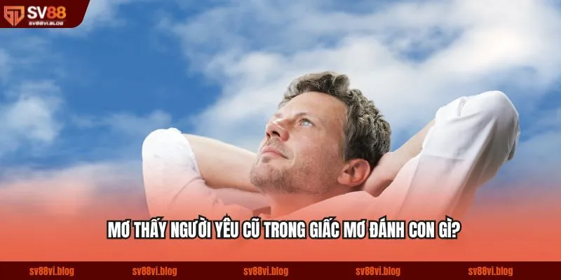 Mơ thấy người yêu cũ trong giấc mơ đánh con gì?
