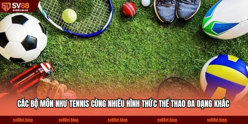 Các bộ môn như tennis cùng nhiều hình thức thể thao đa dạng khác